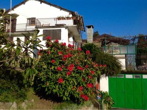 Appartement Peter Ranch 3 à Vico Canavese Extérieur photo