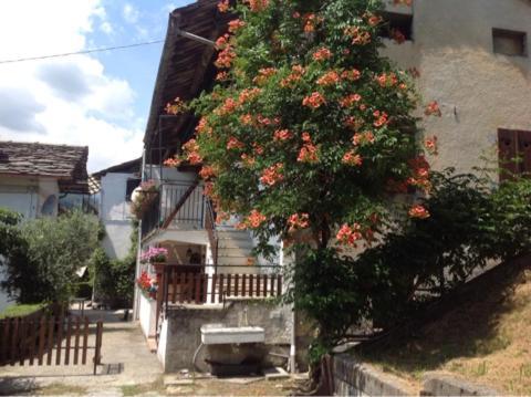 Appartement Peter Ranch 3 à Vico Canavese Extérieur photo
